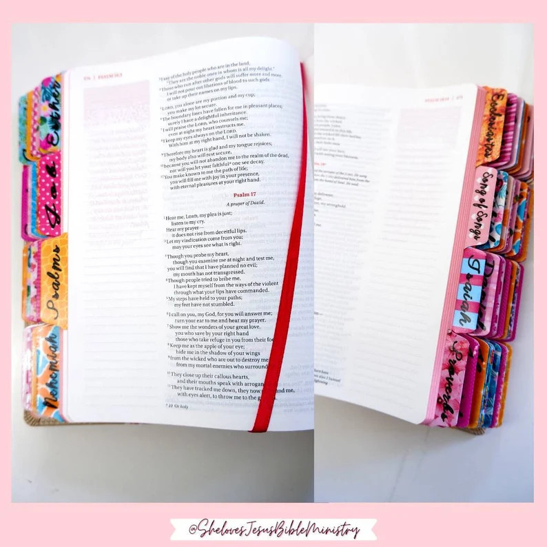 PERSONALIZE Bible Customize Name & Laminated Tabs NIV | Etsy | Etsy (US)