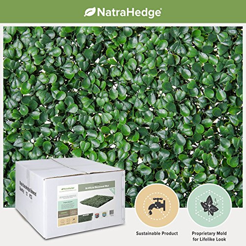 NatraHedge Artificial Boxwood Hedge Mat 20"x 20" Panels (12 Pack) | Amazon (US)