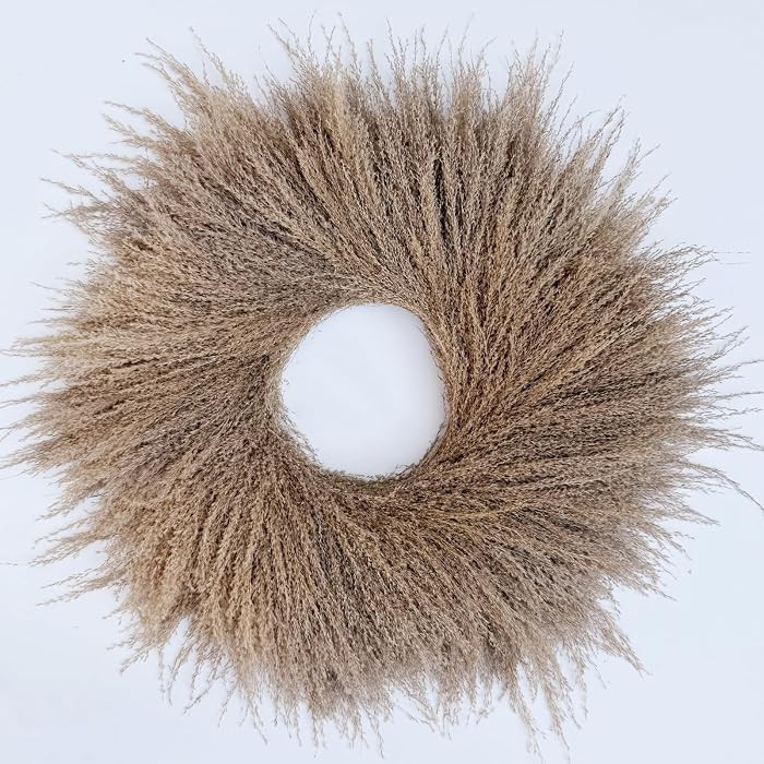 23'' Natural Pampas Grass Wreath for Indoor Decor, Handmade Dried Boho Wreath for Front Door or Wall, Rustic Farmhouse Decor for Living Room, Bedroom, and Entryway (Brown) | Amazon (US)