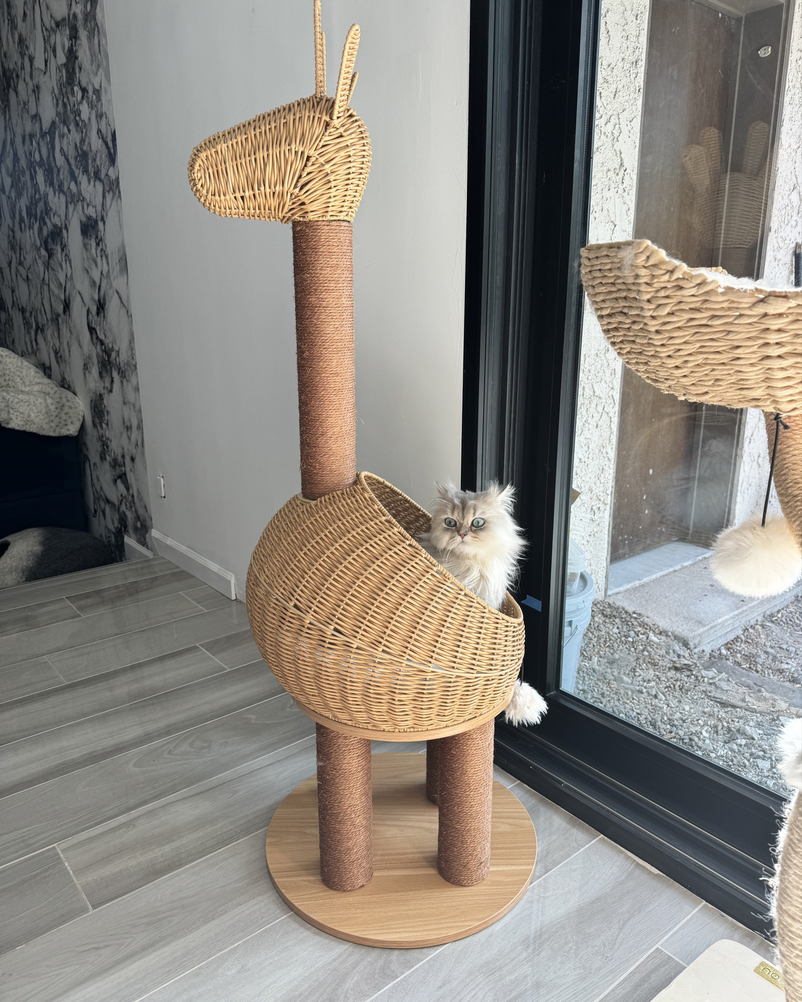 Kevin loves his new cat bed! 

#LTKSeasonal #LTKBeauty #LTKFamily