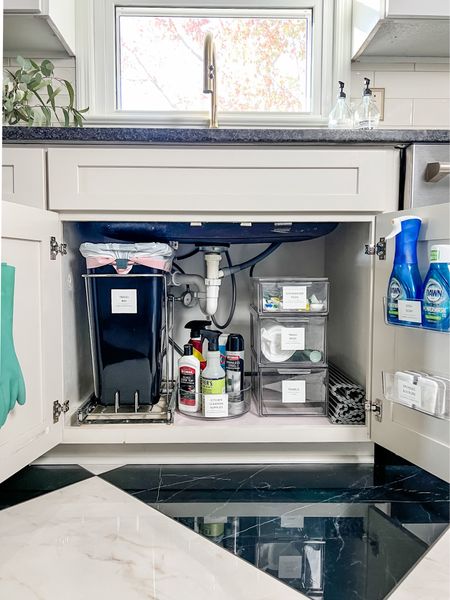 Organized under kitchen sink cabinet with storage bins, hidden trash, and door caddies. Plus Premade labels so you don’t even have to print them.

#LTKhome #LTKSeasonal #LTKfamily