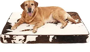 4" Thick Orthopedic Dog Bed for Jumbo Dogs, Egg Crate Foam Dog Bed with Lining and Removable Cove... | Amazon (US)