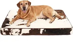 4" Thick Orthopedic Dog Bed for Jumbo Dogs, Egg Crate Foam Dog Bed with Lining and Removable Cove... | Amazon (US)