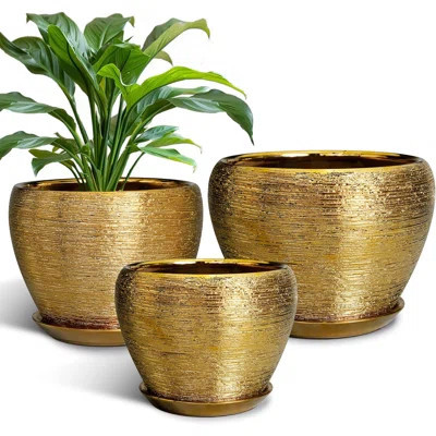Set Of 3 Gold Ceramic Planters (10", 8", 6") With Drainage Holes And Saucers | Wayfair North America