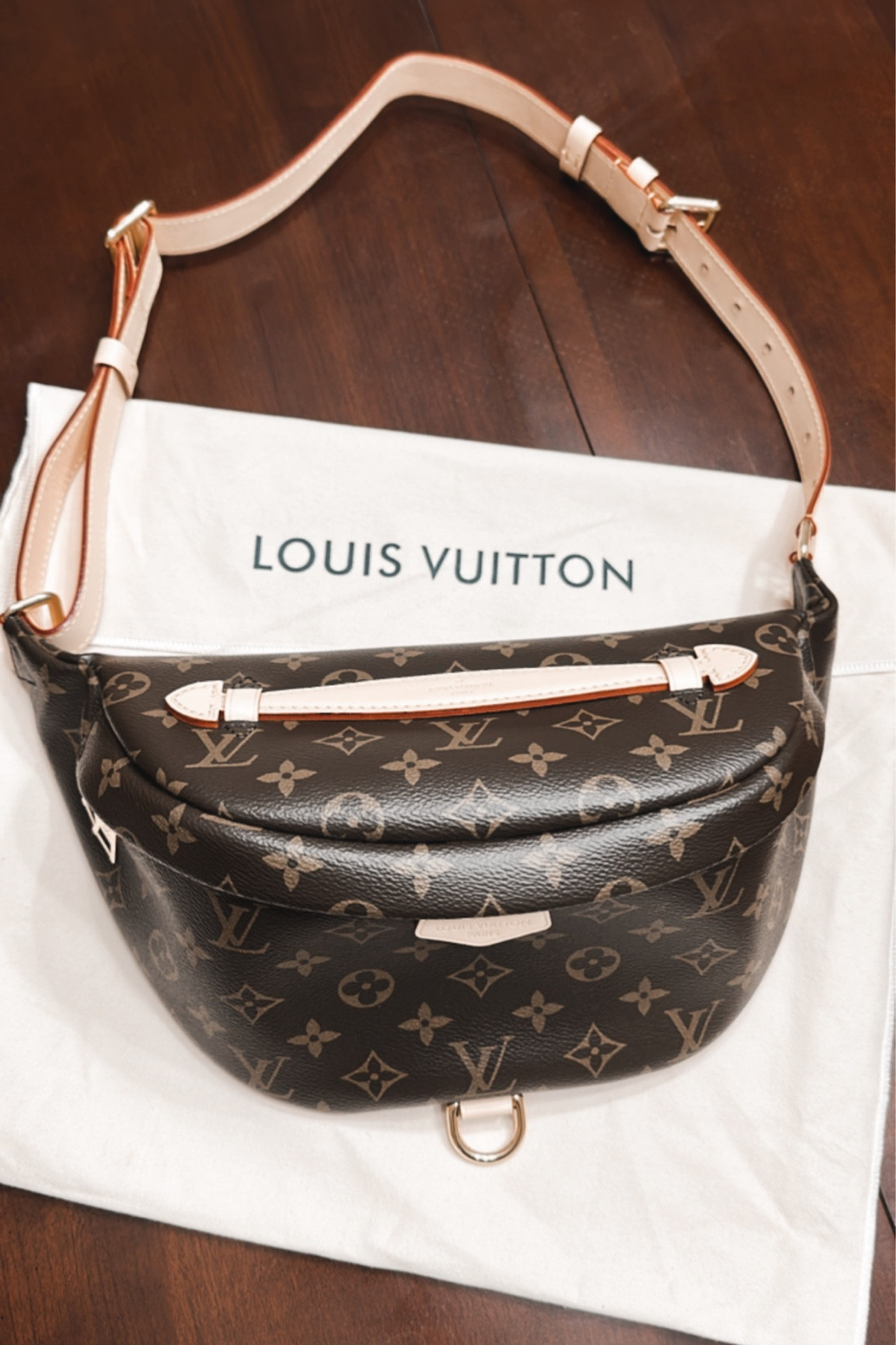 LOUIS VUITTON Monogram Bumbag curated on LTK