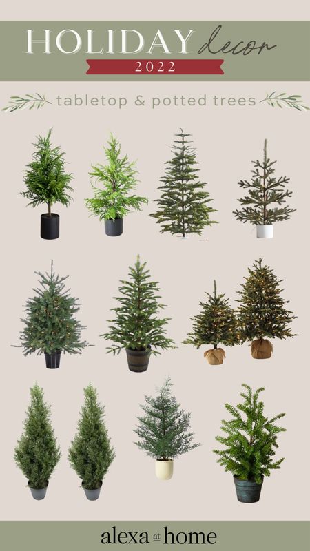 2022 Holiday Decor - tabletop and potted trees 

Potted Christmas trees, tabletop Christmas trees , holiday decor 

#LTKHoliday #LTKhome #LTKSeasonal