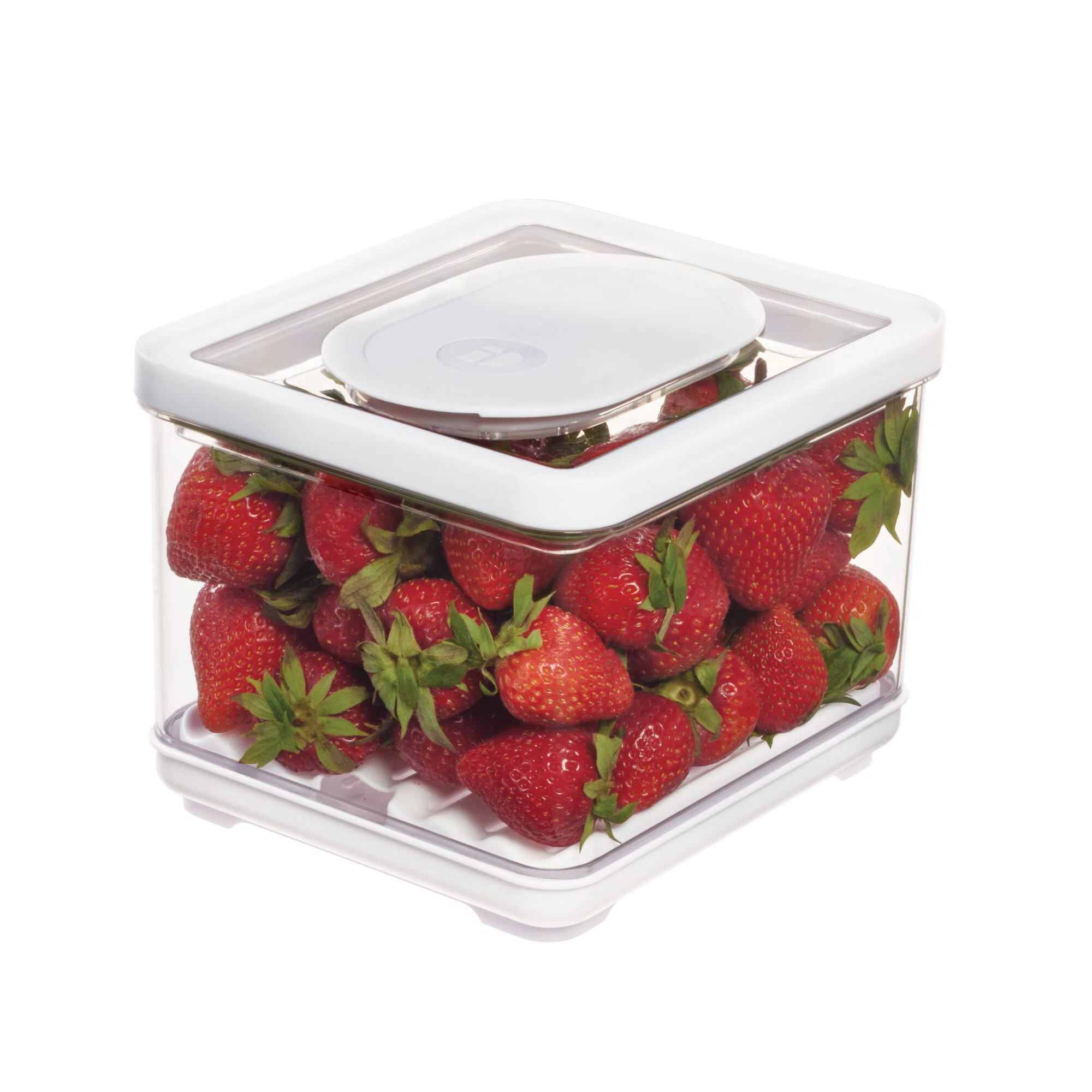 iDesign iD FRESH BPA-Free Recycled Plastic Produce Storage Bin, Small | Wayfair North America