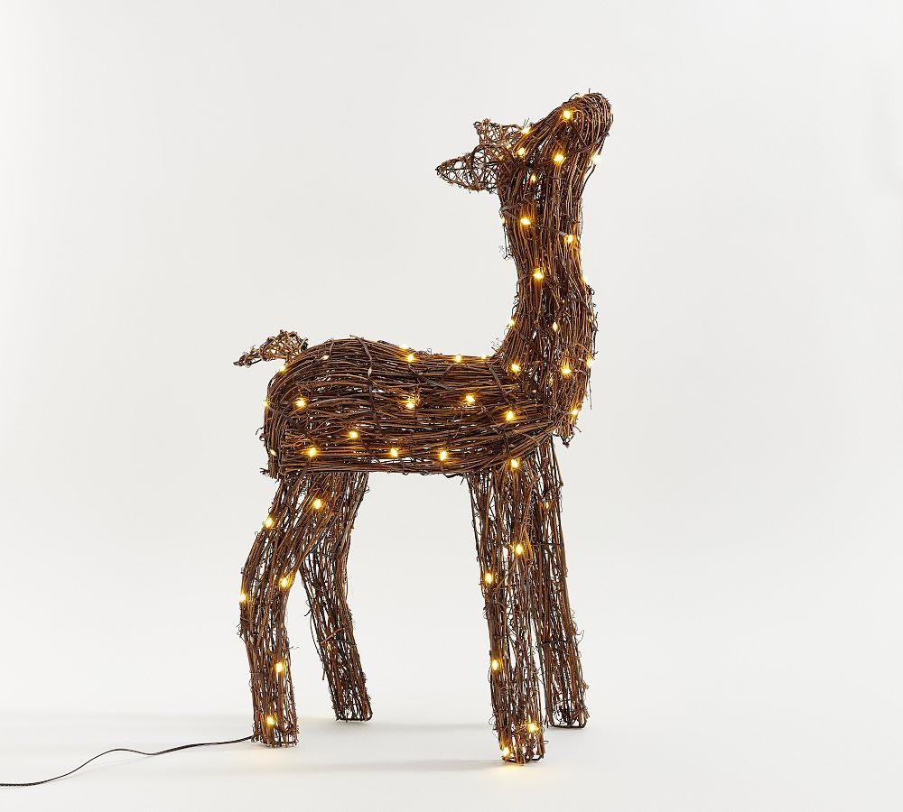 Lit Twinkle Rattan Deer - Brown | Pottery Barn (US)