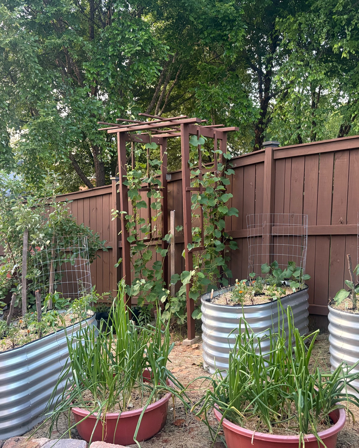 POV you’ve turned into a garden fairy and are admiring my hard work
I’ve been MIA the past few days but I have been working in my garden which is brought to you by raised beds and the garden center

#LTKdayinmylife #LTKstorytime #LTKSeasonal