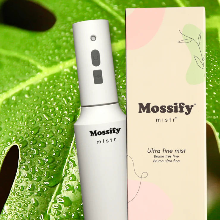 Wholesale Partner: Mossify - Plant Mister | Sol Soils