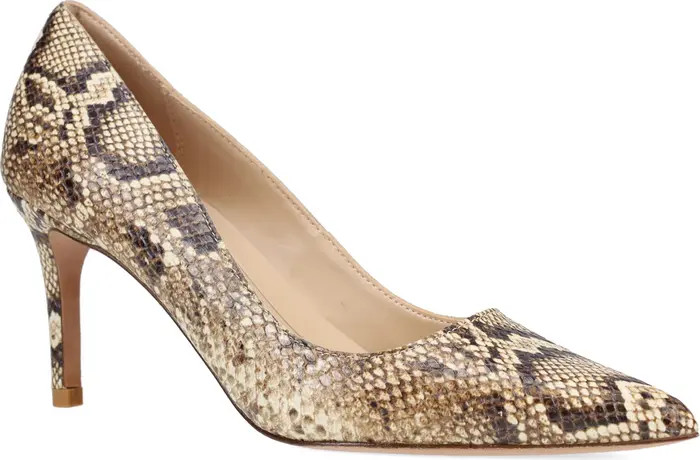 Lizel 2 Pointed Toe Pump (Women) | Nordstrom