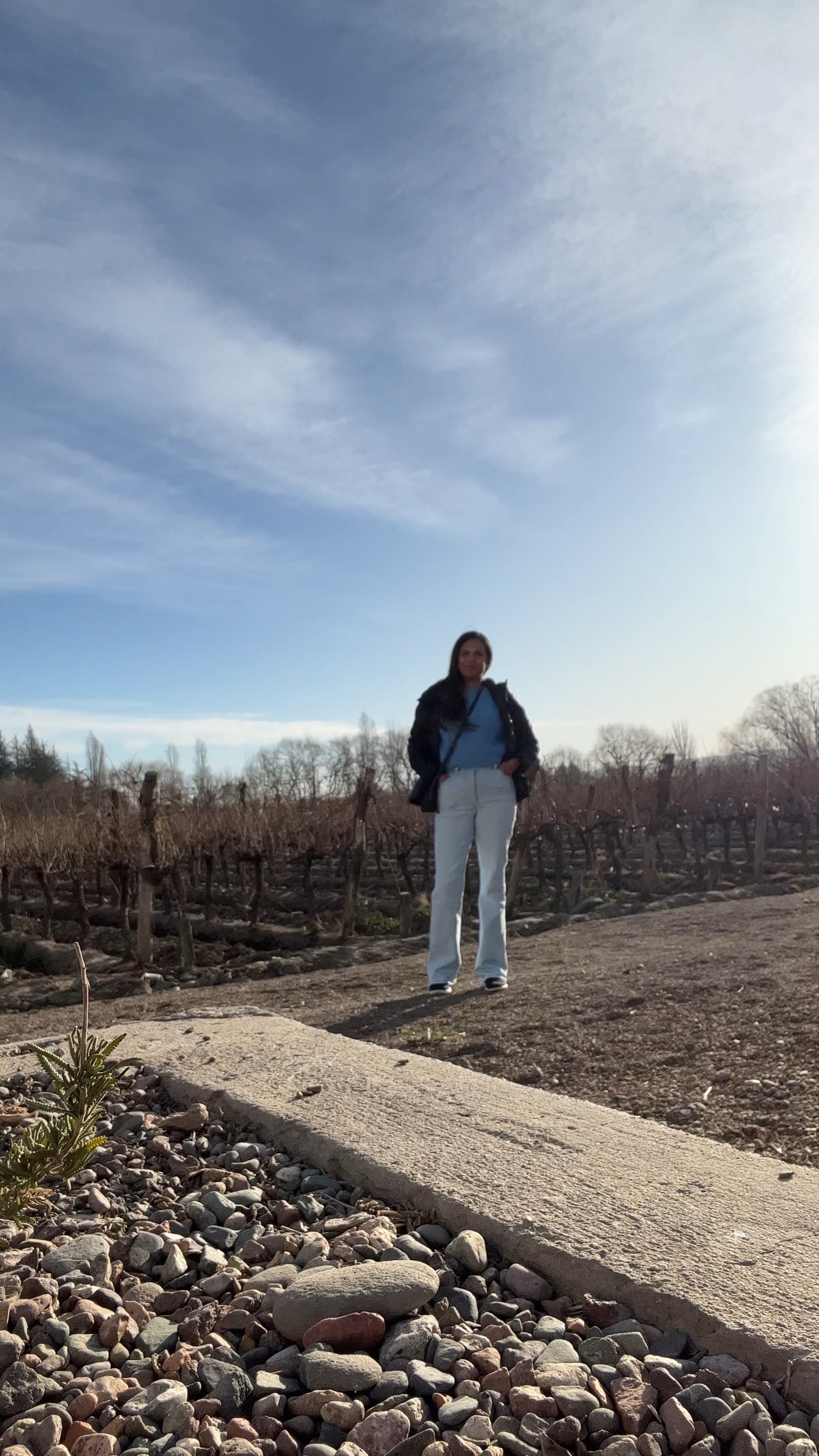 Vineyard in winter look

#LTKSeasonal #LTKunder100 #LTKstyletip