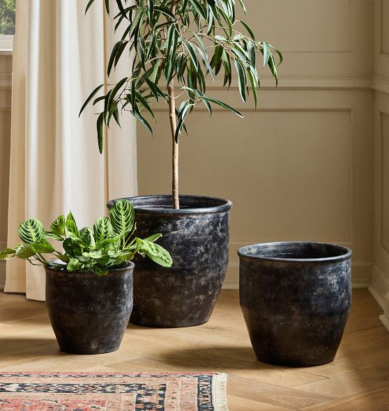 Antique Terracotta Planters | Rejuvenation