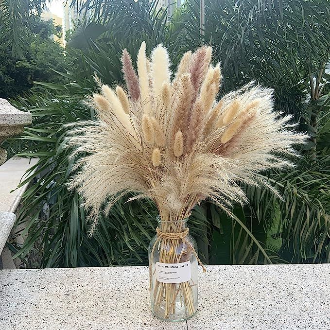 Pampas Grass 80 pcs 17.5 inch Natural Dried Pampas Grass - 15Pcs White Pampas & 15Pcs Brown Pampa... | Amazon (US)