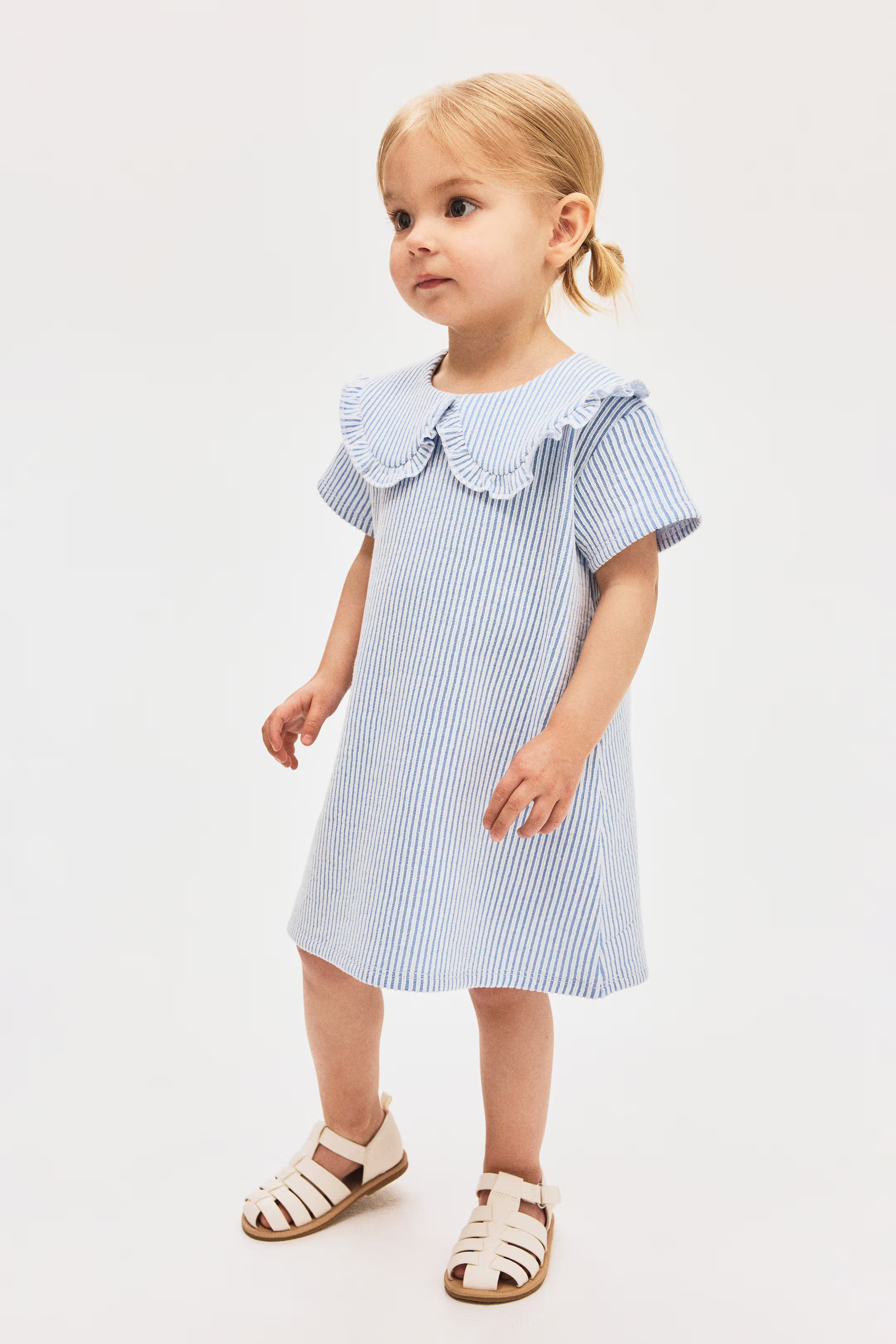 A-Line Dress with Collar | H&M (US + CA)