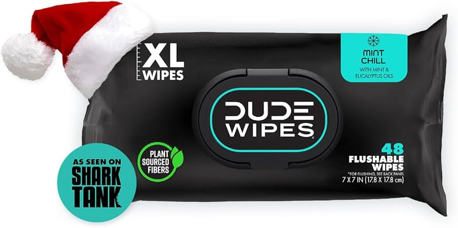 DUDE Wipes - Flushable Wipes Stocking Stuffers - 1 Pack, 48 Wipes - Mint Chill Extra-Large Adult ... | Amazon (US)