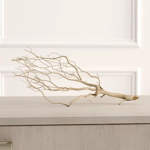 Decorative Natural Manzanita Branch | Wayfair North America