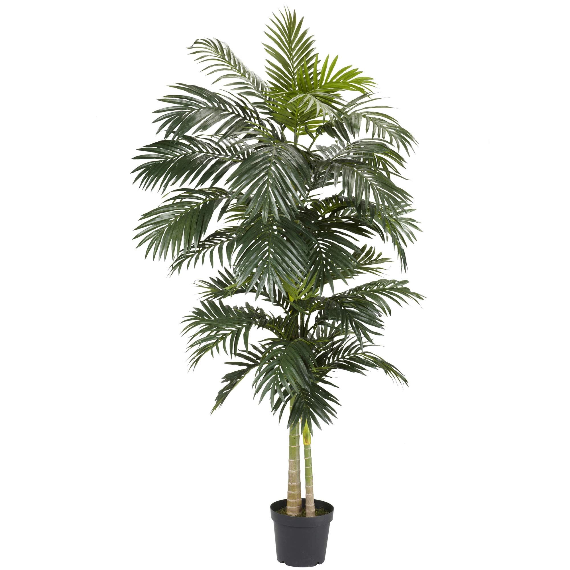 7.5 Ft Palm Plant  | Amazon (US)