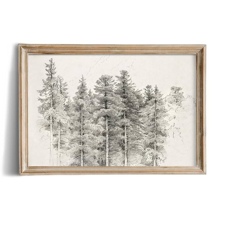 Rustic Farmhouse Wall Art Decor - Unframed Rolled Canvas 24x36 Large - Forest Landscape Trees Etc... | Amazon (US)