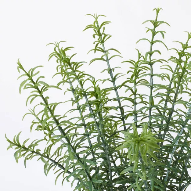 Potted Rosemary - Threshold™ designed with Studio McGee | Target