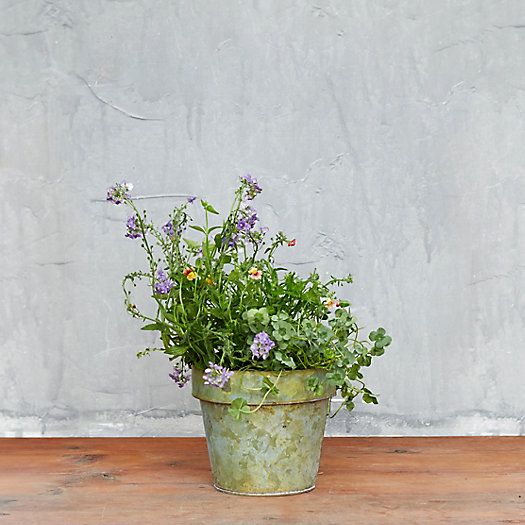 Verdigris Flower Pot | Terrain
