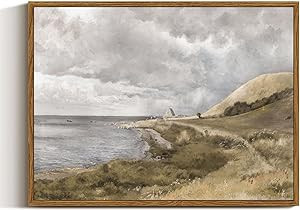 InSimSea Framed Canvas Wall Art Vintage Decor, Coastal Wall Art Danish Coast Nature Scenic Art fo... | Amazon (US)