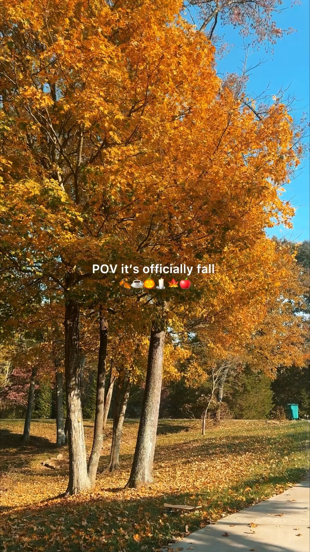 It’s finally fall! Where are my autumn girlies at? It’s our time to shine! 

#LTKHome #LTKSeasonal