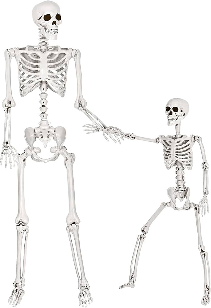 Letapapa 5.4 Ft & 3 Ft Halloween Skeleton Decorations, 2 Packs Halloween Life Size Full Body Huma... | Amazon (US)