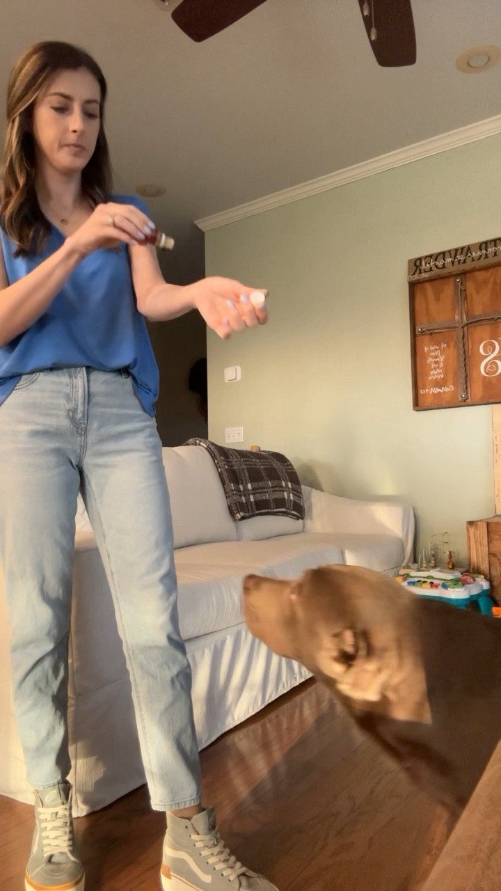 Catch me living in some variation of this outfit all spring!! Snagged this shirt (in 3 colors) & jeans from American Eagle! 

Vans are old, but linked some similar 🩵

shirt: small
jeans: 0 short (for cropped look)

mom style | mom outfit | trendy | jeans | vans 

#LTKstyletip #LTKVideo #LTKSpringSale