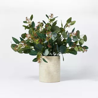 20" x 18" Seeded Eucalyptus and Pod Plant Arrangement in Ceramic Vase - Threshold™ designed wit... | Target