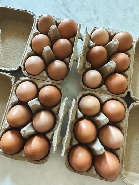 For all the chicken ladies out there… half dozen egg cartons 

#LTKfamily #LTKfindsunder50 #LTKhome