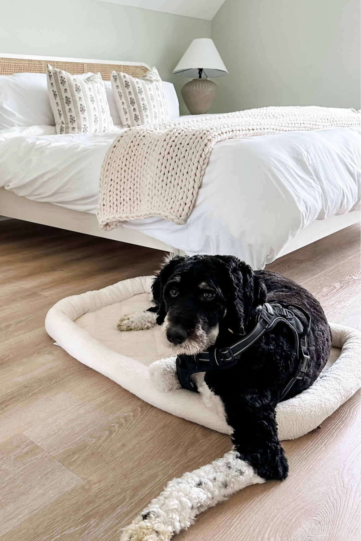 Shop Wayfair’s Labor Day Clearance event now to save big on furniture, décor, and more! Wayfair’s Labor Day Clearance is the perfect time to buy the home items you’ve been looking for to upgrade your favorite space with up to 70% off and fast shipping! Pierre’s new bed is included in the event, and our lake house bed and nightstands are also found at Wayfair! #wayfairpartner #wayfair @wayfair 

#LTKSaleAlert #LTKHome