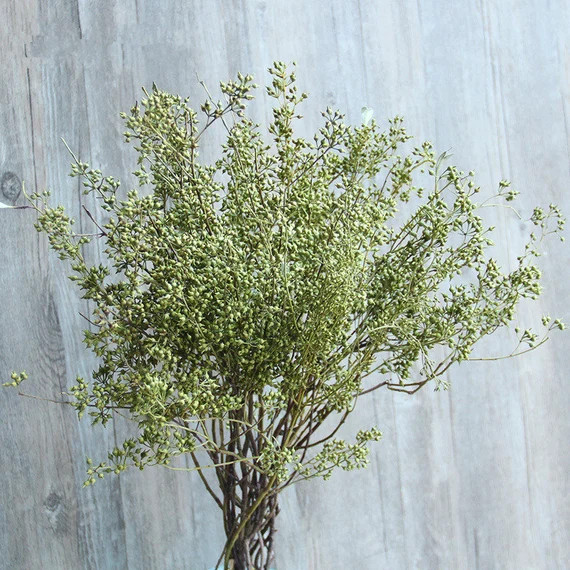 Dried Flowersweddingreal Dried Flowersweddingsfillerhome | Etsy | Etsy (US)