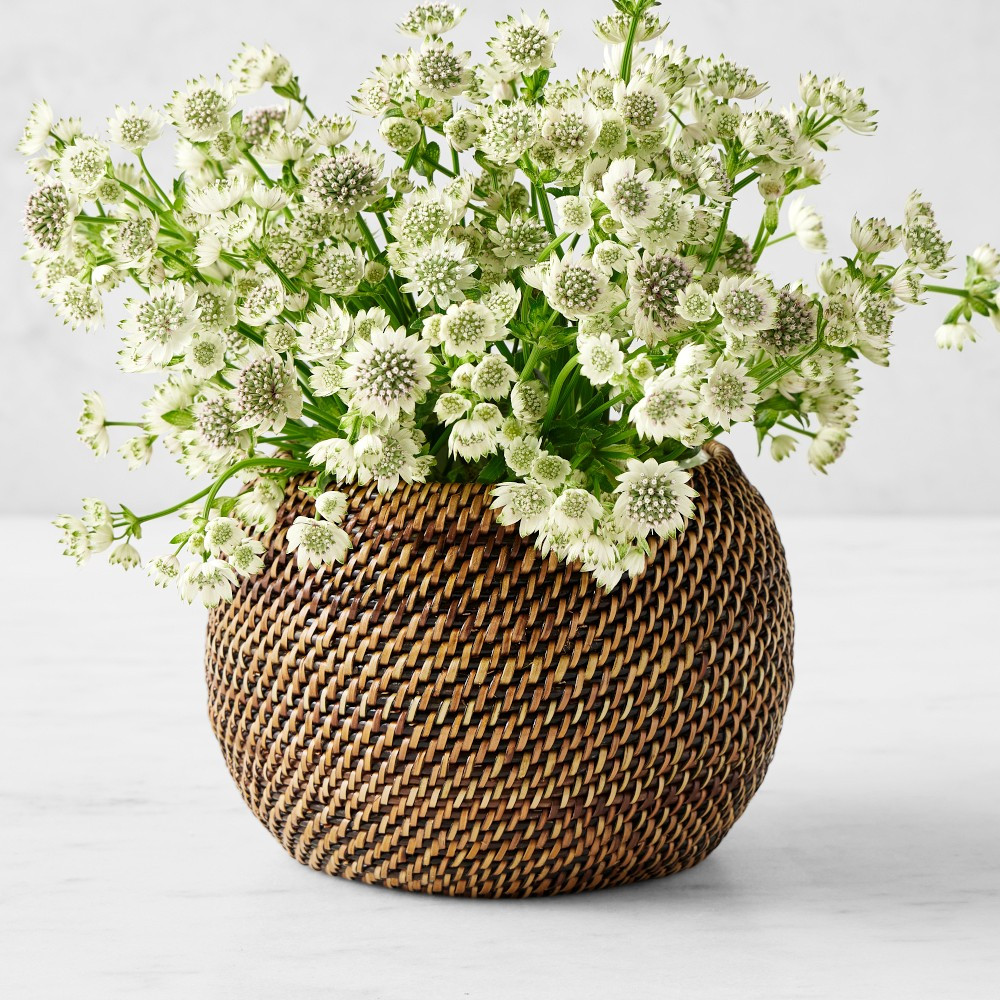 Nito Ball Vase | Williams-Sonoma