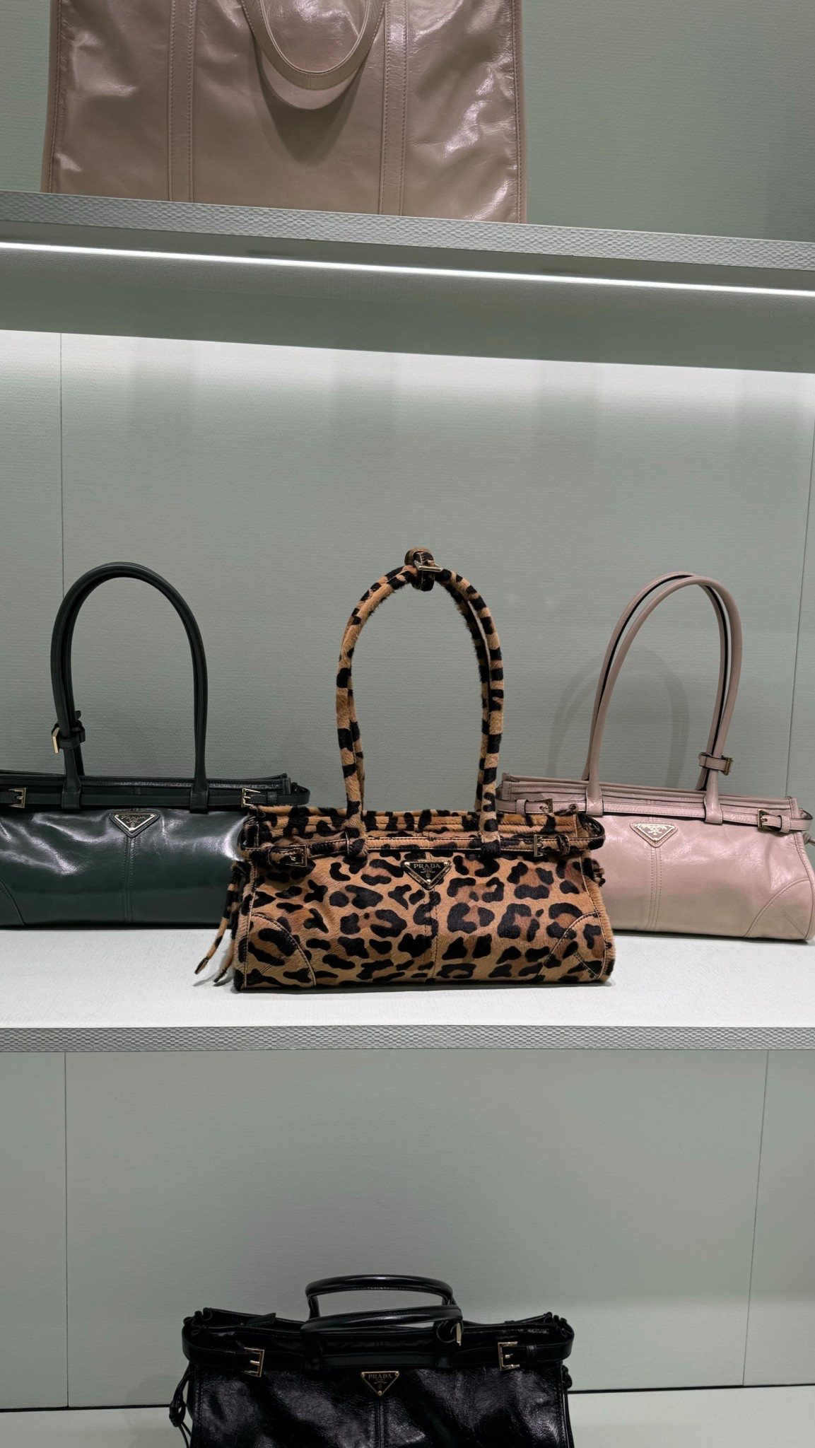 My dream bag 🥹

#LTKbag #LTKaustralia #LTKstyletip