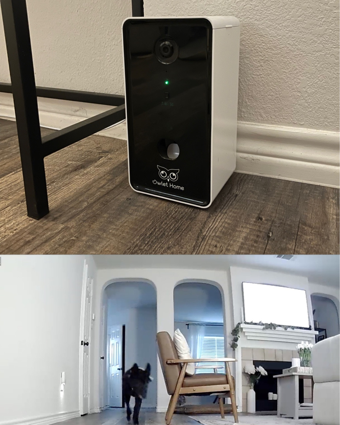 Pet camera & treat dispenser on sale
For prime day!

#LTKxPrimeDay #LTKsalealert #LTKunder100