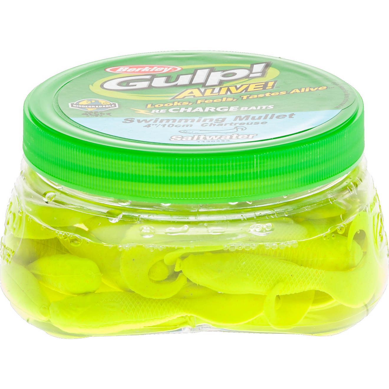 Berkley® Gulp! Alive! 12-1/2 oz. Saltwater Swimming Mullet Soft Bait                            ... | Academy Sports + Outdoor Affiliate