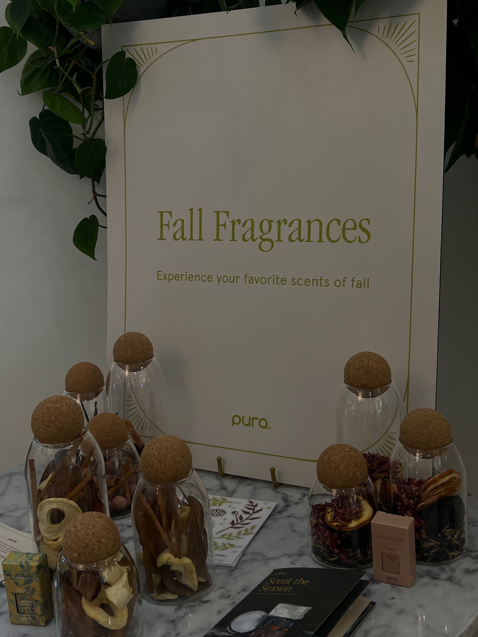 You guys I’m not kidding you NEED to smell these omg

#LTKFindsUnder50 #LTKHome #LTKSeasonal