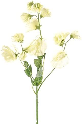 Floristrywarehouse Artificial Silk Sweetpea Stems 27 Inches Cream Green Pack of 3 | Amazon (US)