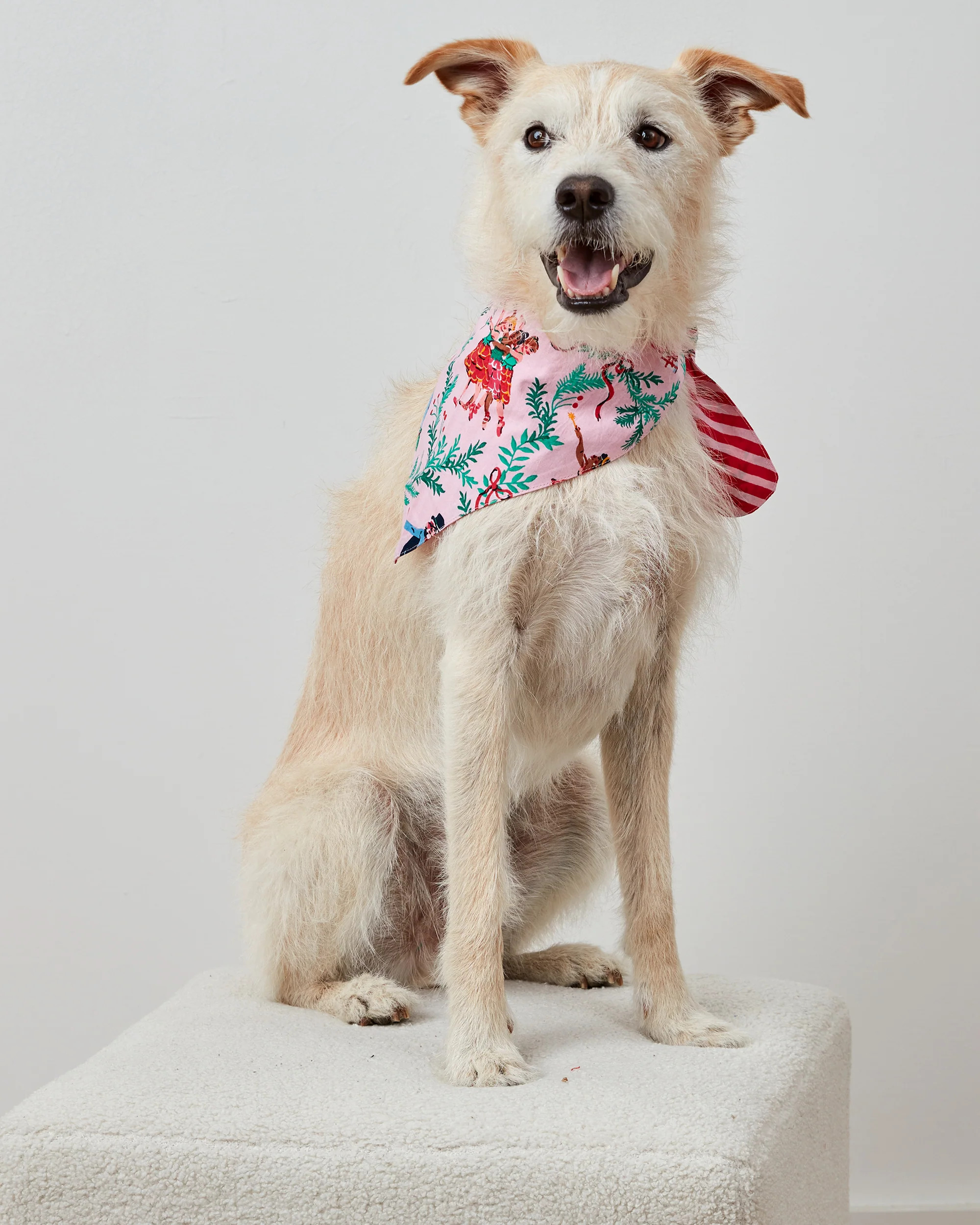 Nutcracker Dreams - Pet Bandana - Ballet Pink | Printfresh