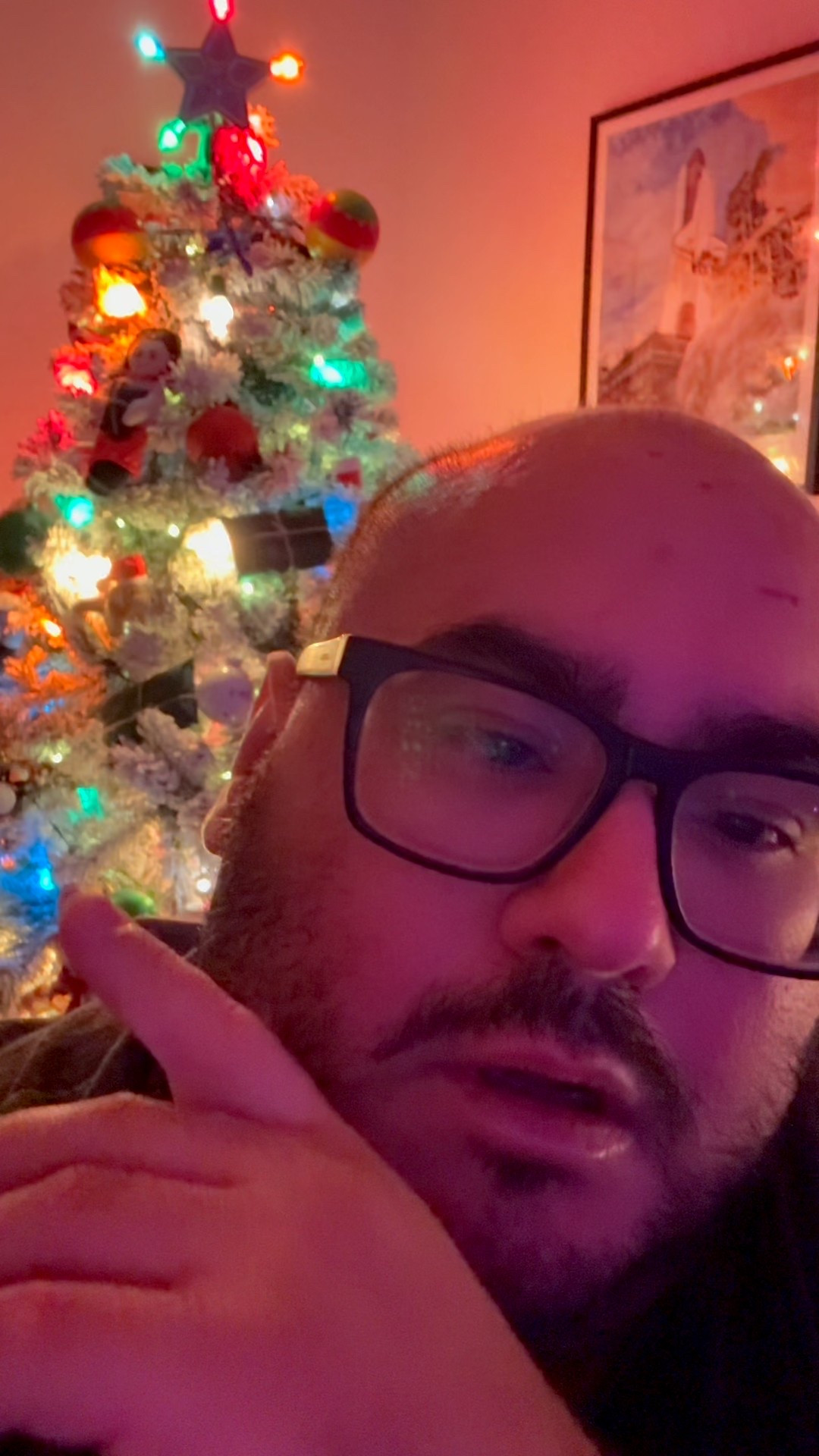 Christmas tree tour

#LTKvlog #LTKHoliday #LTKdayinmylife