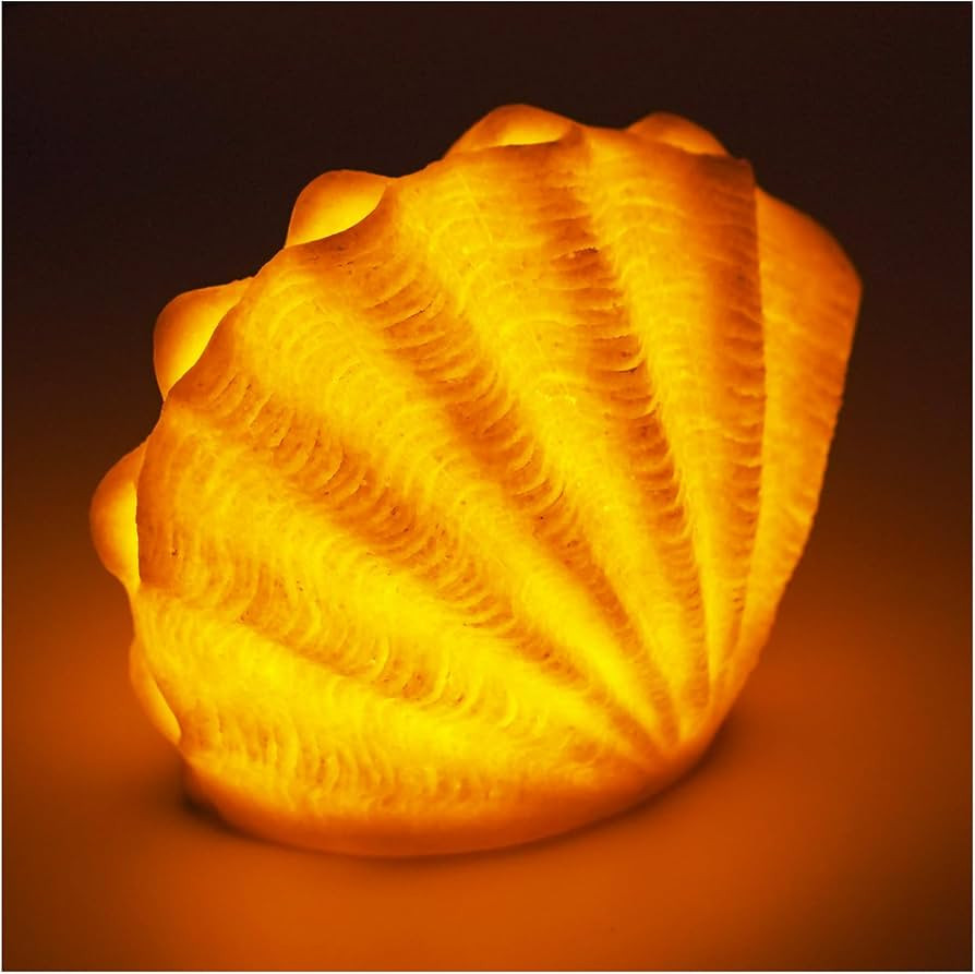 Shell Lamp- Battery Night Light, Decorative Night Light for Kids, Auto Off Timer, LED Seashell La... | Amazon (US)