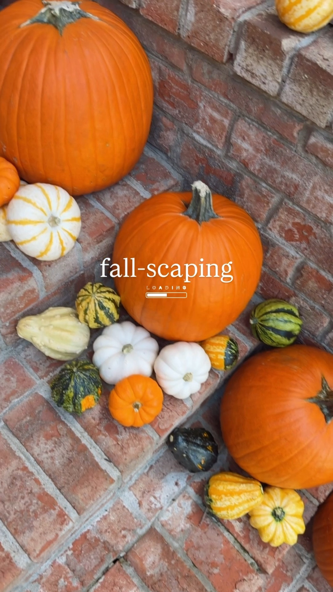 Did you know Target has $5 pumpkins available for drive-up?? Game changer. I ordered 10 large pumpkins and 4 bags of mini mixed pumpkins for our front porch! Layer in mums and fall decor 🍁🎃

#LTKHome #LTKSeasonal #LTKHalloween