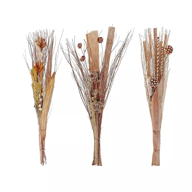 Nuanchu Natural Dried Palm Leaves … curated on LTK