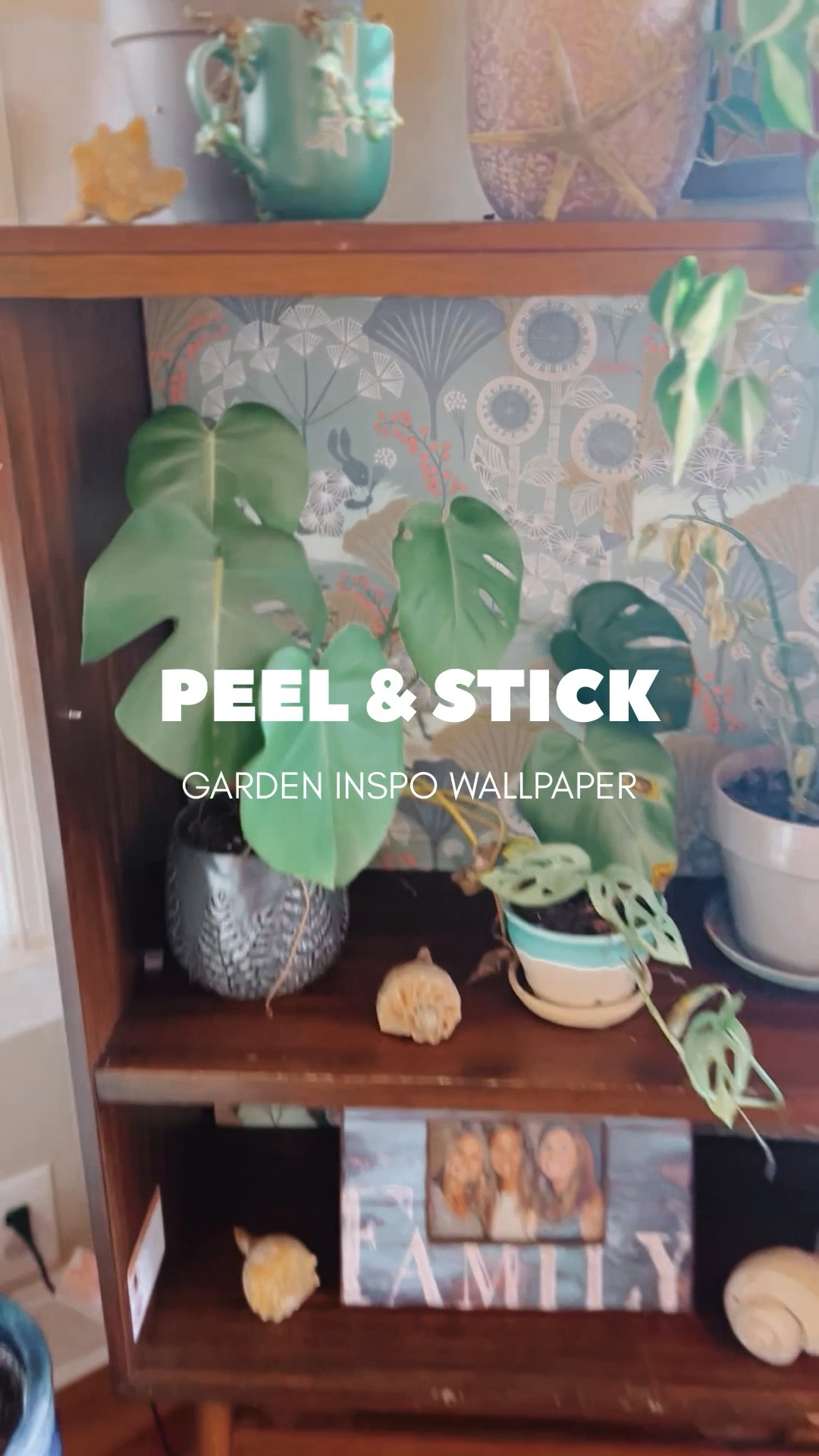 Level up your design game with affordable peel and stick garden wallpaper ideas. 

Target, Amazon, boho design, gardening, decor, plants, wallpaper inspo, upcycle 

#LTKStyleTip #LTKHome