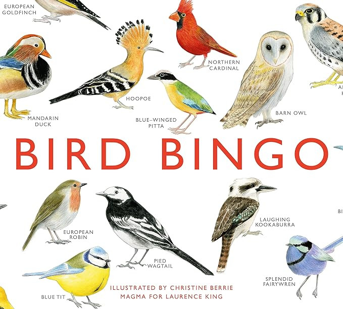 Laurence King Bird Bingo | Amazon (US)