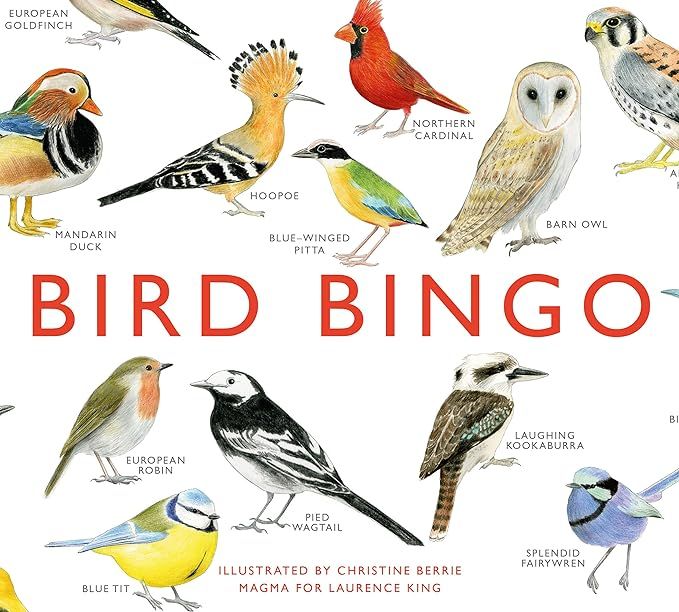 Laurence King Bird Bingo | Amazon (US)