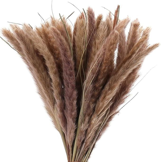 yarlung 45 Pieces 17 Inch Natural Dried Reed, Pampas Grass Phragmites Stems Bunch for Flower Fall... | Amazon (US)