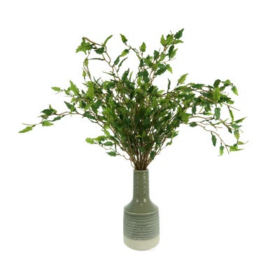 Organic Modern Smilax Arrangement | Wayfair North America