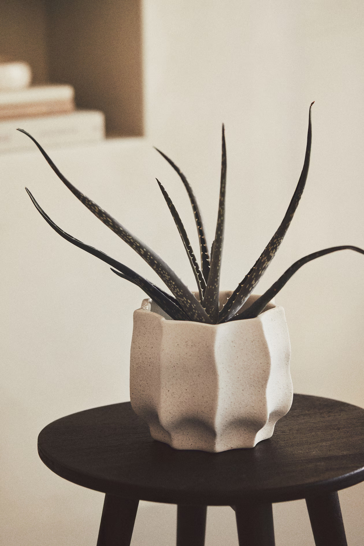 Stoneware Plant Pot | H&M (US + CA)